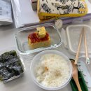 (주)무한씨,엔,디 | [일본유학]25년 5월 넷째 주/약국 실습 시작/인생은 순탄치 않아