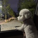 홍주중학교 | 아둥바둥한 날들