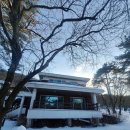 &lt;제주&gt; 숲이 너무 이쁜 절물자연휴양림 / 숲속의 집 &#34;수선화실 2층&#34; 이용후기