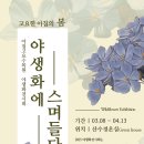 야생화테마펜션 | 2025 아침고요 야생화전시회 – 국내 최대 봄꽃 축제 | 일정, 입장료, 관람 꿀팁 총정리