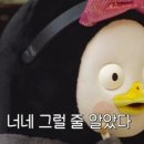 호주면세