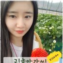 선화농장 이미지