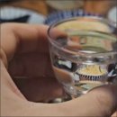 족발의기본