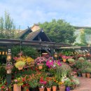 타샤의 정원 이미지