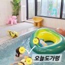 가평애견카페 리버뷰펜션 이미지