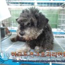 유암초교 이미지