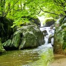 도수암계곡 이미지