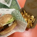 주)올드라인스포츠 | [캐나다] 몬트리올 여행 4일차_OPUS 카드 구매, 노트르담 성당, 올드 몬트리올 등