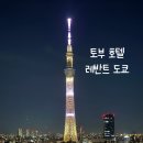 시초 이미지