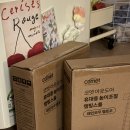 🌈🐅환상의 나라 에버랜드 나들이 평일 후기│산리오 팝콘통│간식추천│문라이트 퍼레이드│티익스프레스...