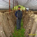 현송농장 이미지