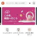 캐치글로벌