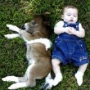 태화2리(태평)경로당 | ■ 좋은산우들 김동균 산우가 만들어 올린 동영상 목록..