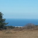 바산농장 이미지