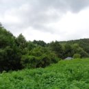 완산-111 이미지