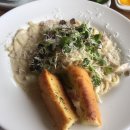 돈 파스타 이미지