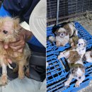 유성동양경매장 이미지