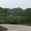 봉서1리 이미지