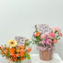 W.6 대전 케이인 하우스 상견례 후기