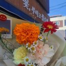 꽃부티크 플로버 이미지