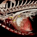 신제주동물병원 이미지