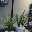 구월2동-13 이미지