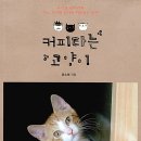 커피타는 고양이 이미지