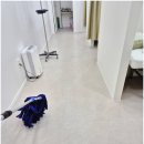 늘푸른청소 이미지