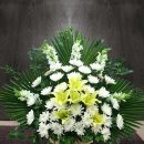 서유6호 이미지