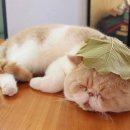 바닐라헤어 - 사천시 | 바닐라헤어