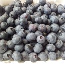 장재농장 이미지