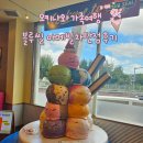오키나와여행 아메리칸 빌리지 블루씰 차탄점에는 빅마운틴이 없다