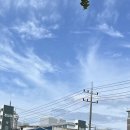 [문화 생활] 10월 가을날 대구 간송 미술관