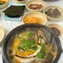 생태한마리 이미지