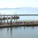 가우도 복합낚시공원 이미지