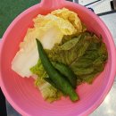 UR(광주광역시)-[참판로]-상-2 | 광주 계림동 맛집 "춘자네 소금구이 계림점" 쫄깃한 고기 맛 환상적이구먼요!!
