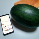 아어가지 이미지