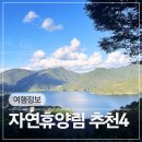 인동가산로1L-4 | 숲나들이 국립자연휴양림 직접 가보고 선정한 추천지 BEST4