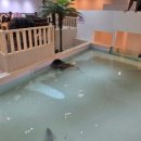 경춘로1350번길36 네이버블로그