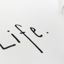 종이접기 & 한지 꽃 공예 이미지