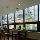 청록미나리식당 마곡점 | 마곡 직장인 점심 샤브샤브 청록미나리식당 마곡점 내돈내산 후기