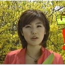 싱싱 이미지