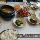 옹고집 티스토리