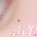 멜리아카데미