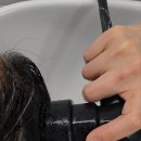 모락스칼프 이미지