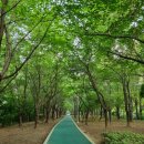 유수지공원 앞 이미지