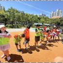 푸른경희대태권도체육관 이미지