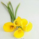 이슬이 생각날때 이미지