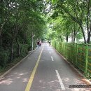 새말빗물펌프장 이미지