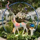 제일종합시장 | 청량리역, 창신동문구완구시장, 동대문종합시장 방문 후기